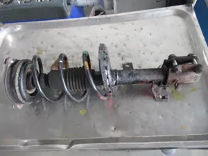 Federbein vorne links