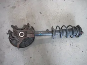 Federbein vorne rechts