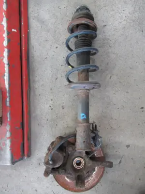 Federbein vorne rechts