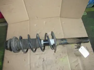 Federbein vorne links