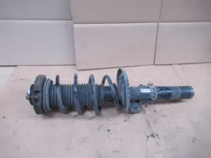 Federbein vorne links