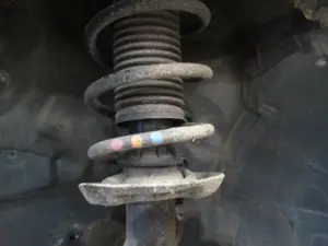 Federbein vorne links