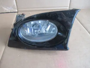 Nebellampe vorne links