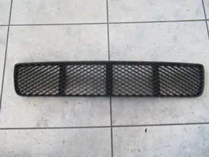 Stossstangengitter vorne