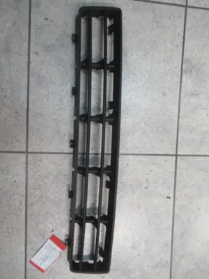 Stossstangengitter vorne