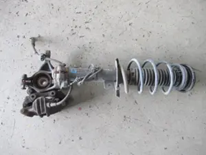 Federbein vorne links