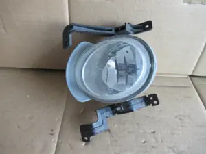 Nebellampe vorne links