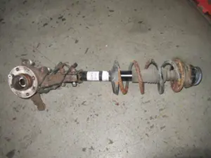 Federbein vorne links