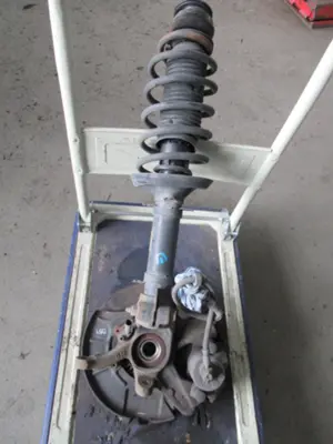 Federbein vorne links