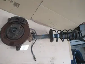 Federbein vorne links