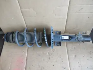 Federbein vorne links