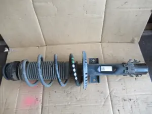 Federbein vorne rechts