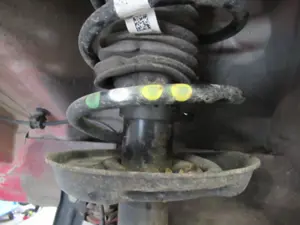 Federbein vorne links