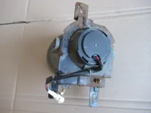 Nebellampe vorne links