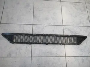 Stossstangengitter vorne