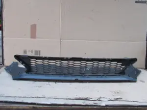 Stossstangengitter vorne