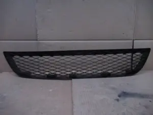 Stossstangengitter vorne