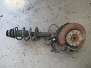 Federbein vorne links