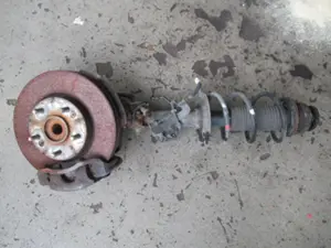 Federbein vorne rechts