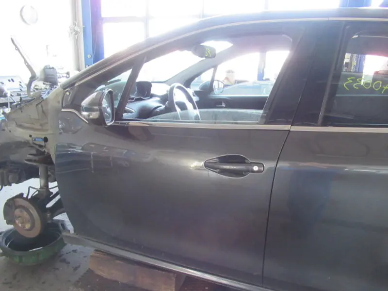 Porte avant gauche