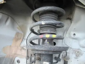 Federbein vorne rechts