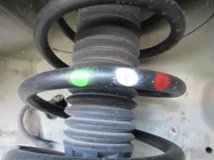 Federbein vorne links