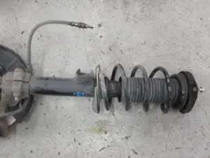 Federbein vorne links