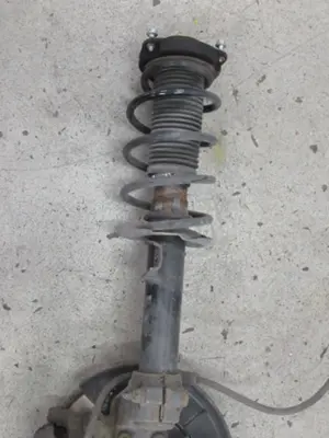 Federbein vorne rechts