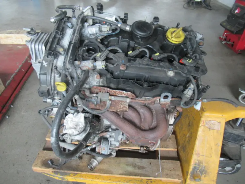 Motor