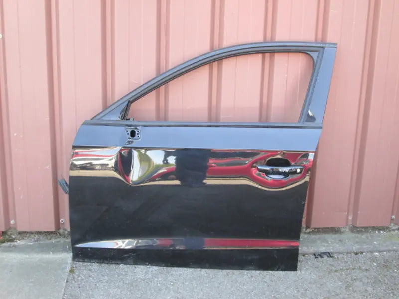Porte avant gauche