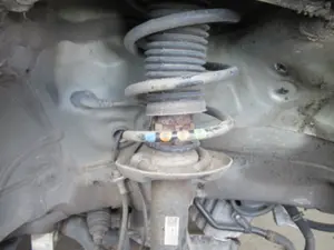 Federbein vorne links