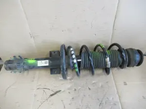 Federbein vorne links