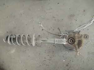 Federbein hinten links