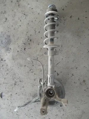 Federbein hinten rechts