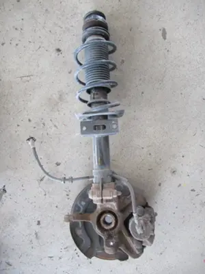 Federbein vorne links