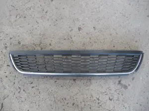 Stossstangengitter vorne