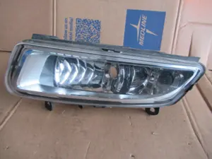 Nebellampe vorne links