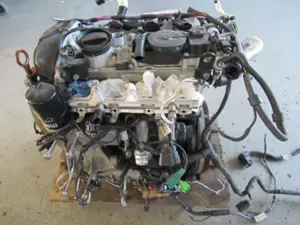 Motor