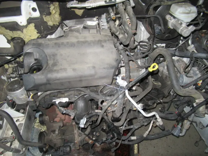 Motor
