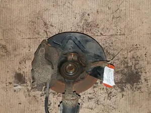 Federbein vorne links