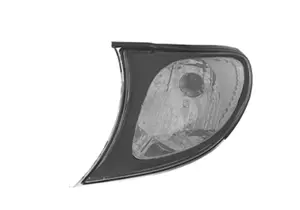 Blinker vorne rechts