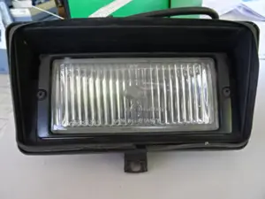 Nebellampe vorne links