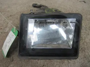 Nebellampe vorne links