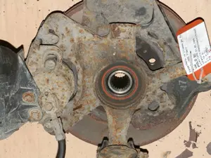 Federbein vorne links