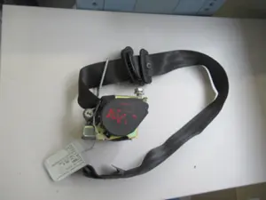 Gurtstraffer vorne