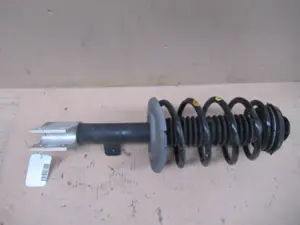 Federbein vorne links