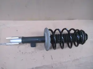 Federbein vorne links