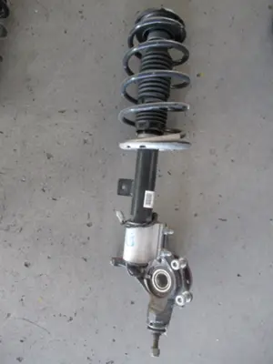 Federbein vorne links