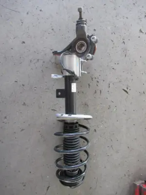 Federbein vorne rechts