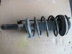 Federbein vorne rechts